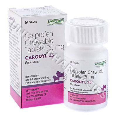 Carodyl (Carprofen) - 100mg (60 Chewable Tablets) Image1